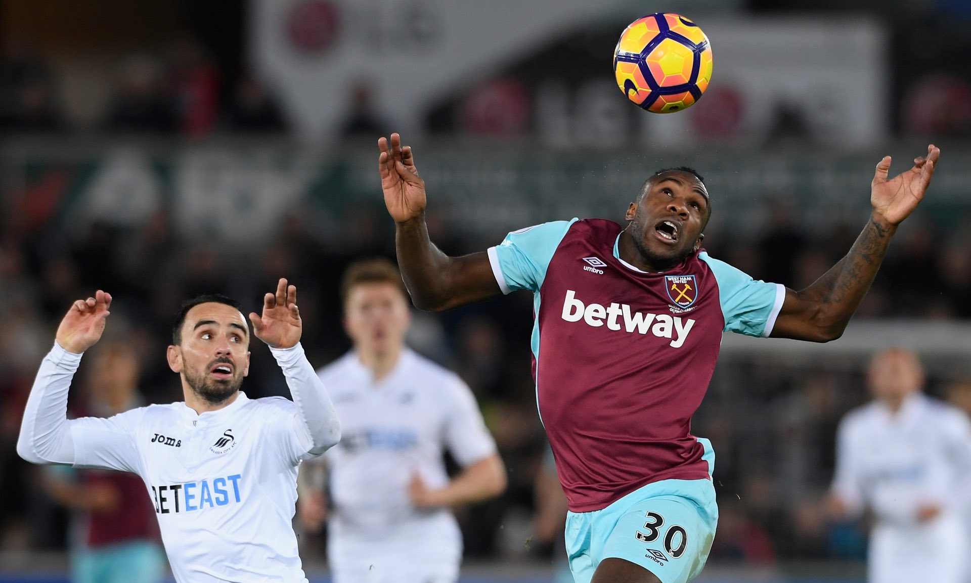 尔西的重要 尔西的重要